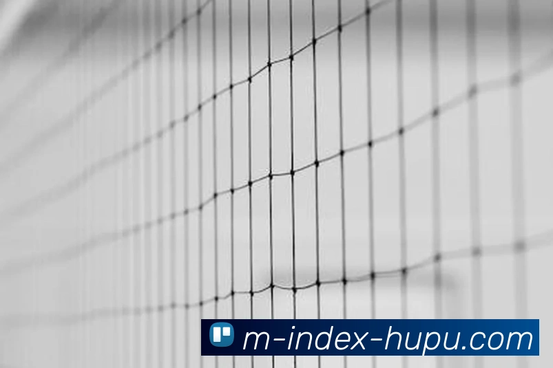 虎扑体育品牌故事